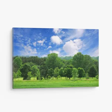 Cuadro en lienzo paisaje de bosque verde en verano – Pixers®