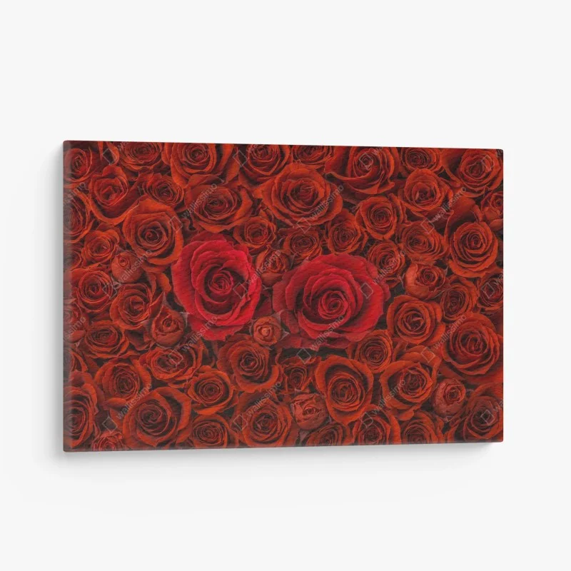 Cuadro en lienzo composición de rosas rojas
