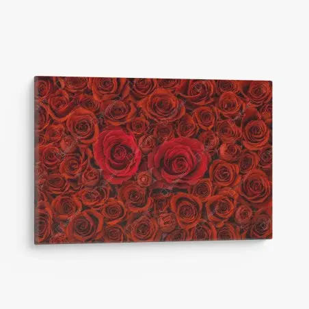 Cuadro en lienzo composición de rosas rojas – Pixers®