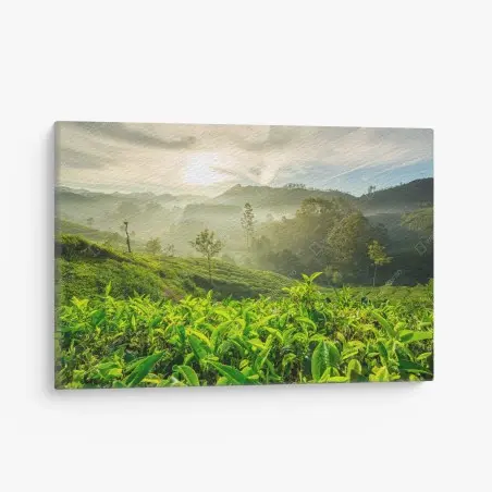 Cuadro en lienzo amanecer sobre plantaciones de té en Munnar – Pixers®