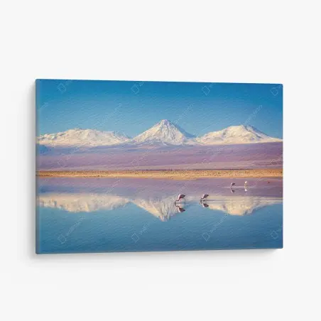 Cuadro en lienzo reflejos del volcán Licancabur en la laguna Chaxa – Pixers®