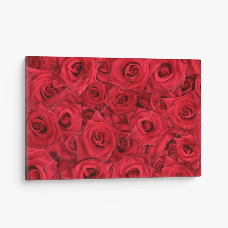 Cuadro en lienzo abundancia de rosas rojas