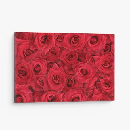 Cuadro en lienzo abundancia de rosas rojas – Pixers®