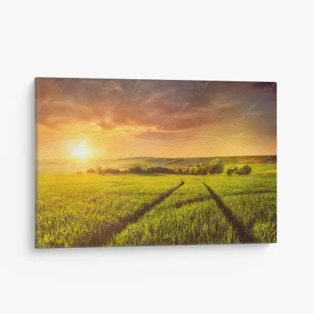 Cuadro en lienzo puesta de sol dorada sobre el campo – Pixers®