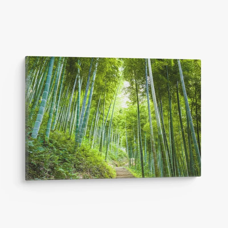 Cuadro en lienzo sendero entre bambúes en bosque sereno – Pixers® Cuadro en lienzo sendero entre bambúes en bosque sereno – Pixers®
