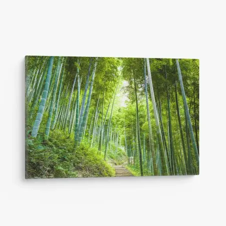 Cuadro en lienzo sendero entre bambúes en bosque sereno – Pixers®