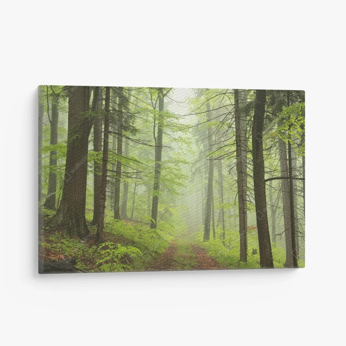 Cuadro en lienzo sendero en bosque brumoso – Pixers® Cuadro en lienzo sendero en bosque brumoso – Pixers®