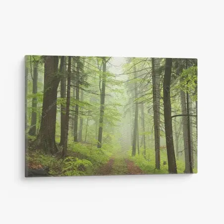Cuadro en lienzo sendero en bosque brumoso – Pixers®