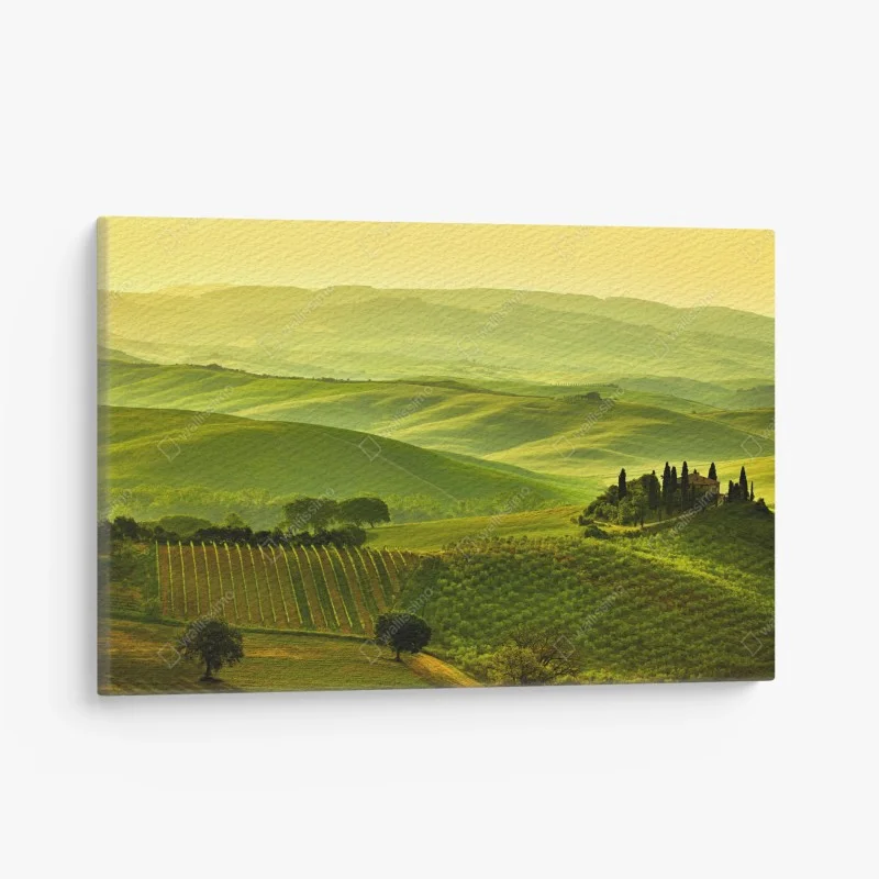 Cuadro en lienzo sueños de la Toscana: colinas doradas