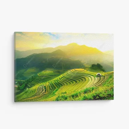 Cuadro en lienzo arrozales en terrazas al amanecer – Pixers®