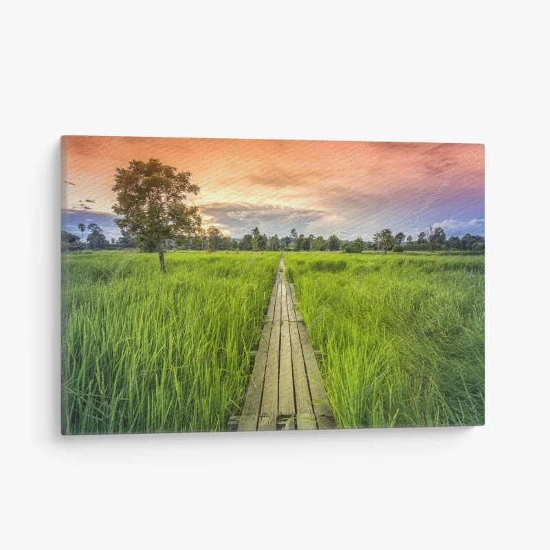 Cuadro en lienzo sendero de madera centenario entre arrozales en Khonburi, Nakhon Ratchasima, Tailandia