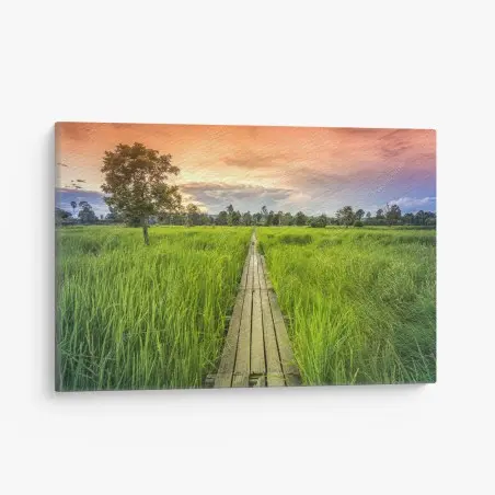Cuadro en lienzo sendero de madera centenario entre arrozales en Khonburi, Nakhon Ratchasima, Tailandia – Pixers®