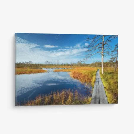 Cuadro en lienzo sendero de madera en humedal otoñal – Pixers®