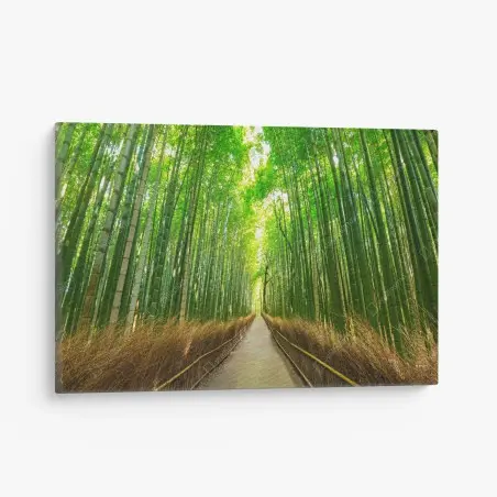 Cuadro en lienzo paseo sereno en el bosque de bambú de Arashiyama, Kyoto – Pixers®
