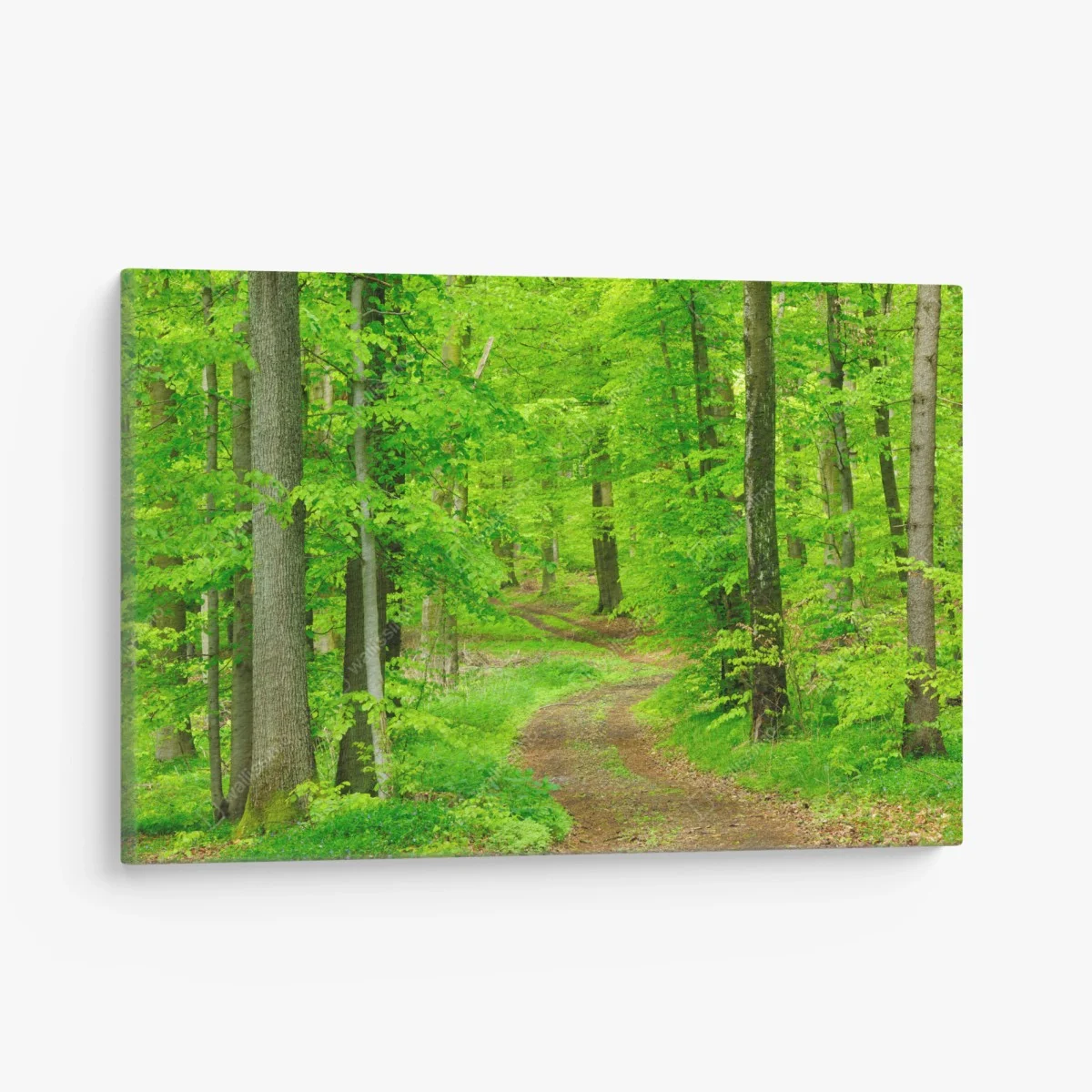 Cuadro en lienzo sendero sereno en bosque primaveral – Pixers® Cuadro en lienzo sendero sereno en bosque primaveral – Pixers®