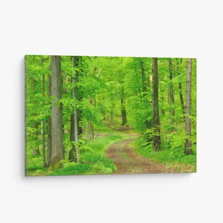 Cuadro en lienzo sendero sereno en bosque primaveral – Pixers®