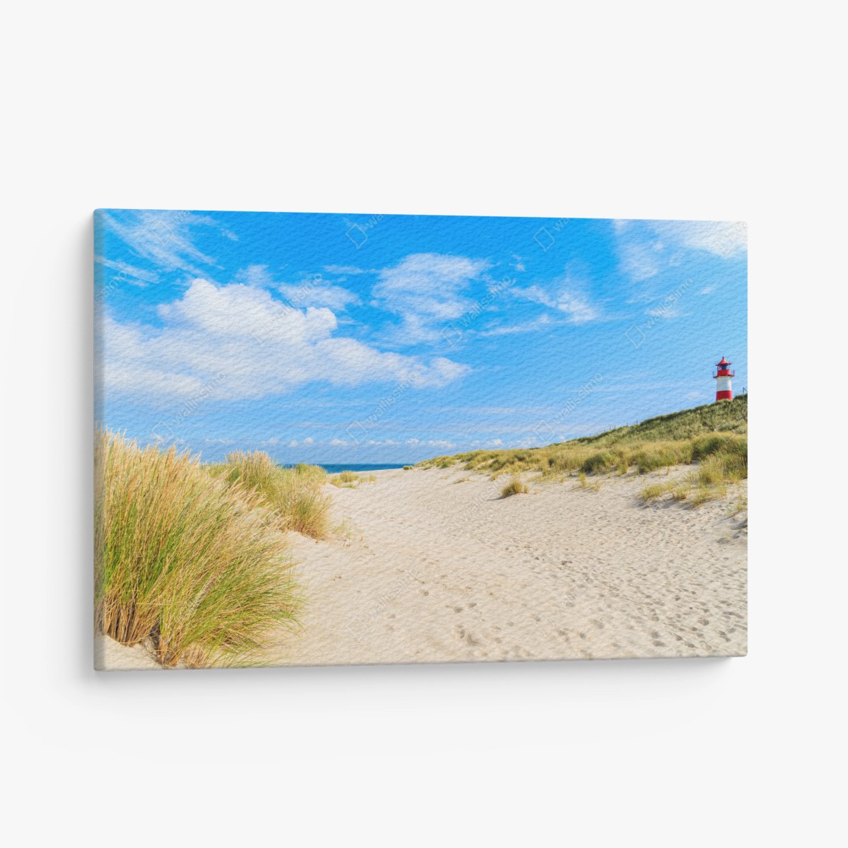 Cuadro en lienzo brisa de las dunas de Ellenbogen en Sylt – Pixers®