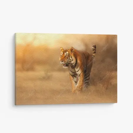Cuadro en lienzo tigre en la luz dorada del atardecer – Pixers®