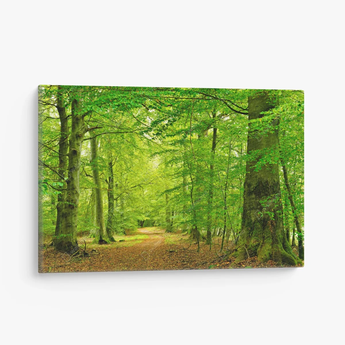 Cuadro en lienzo sendero sereno en el bosque verde – Pixers® Cuadro en lienzo sendero sereno en el bosque verde – Pixers®