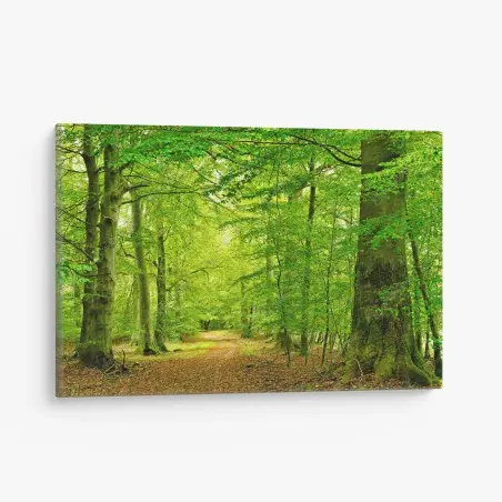 Cuadro en lienzo sendero sereno en el bosque verde – Pixers®