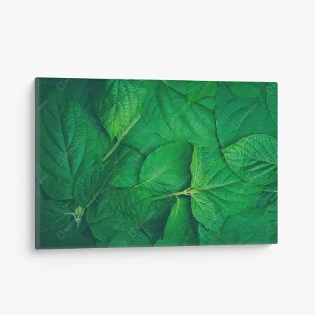 Cuadro en lienzo textura de hojas verdes – Pixers®