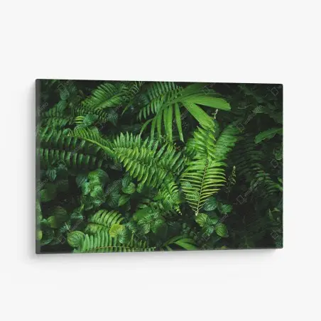 Cuadro en lienzo mural de hojas tropicales y helechos – Pixers®