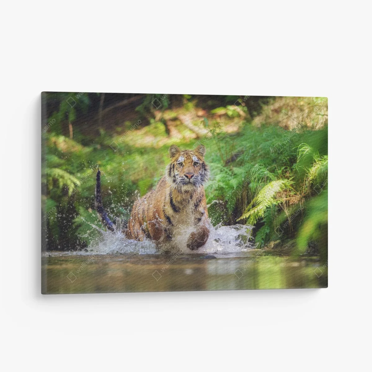 Cuadro en lienzo tigre en movimiento entre agua y bosque – Pixers® Cuadro en lienzo tigre en movimiento entre agua y bosque – Pixers®