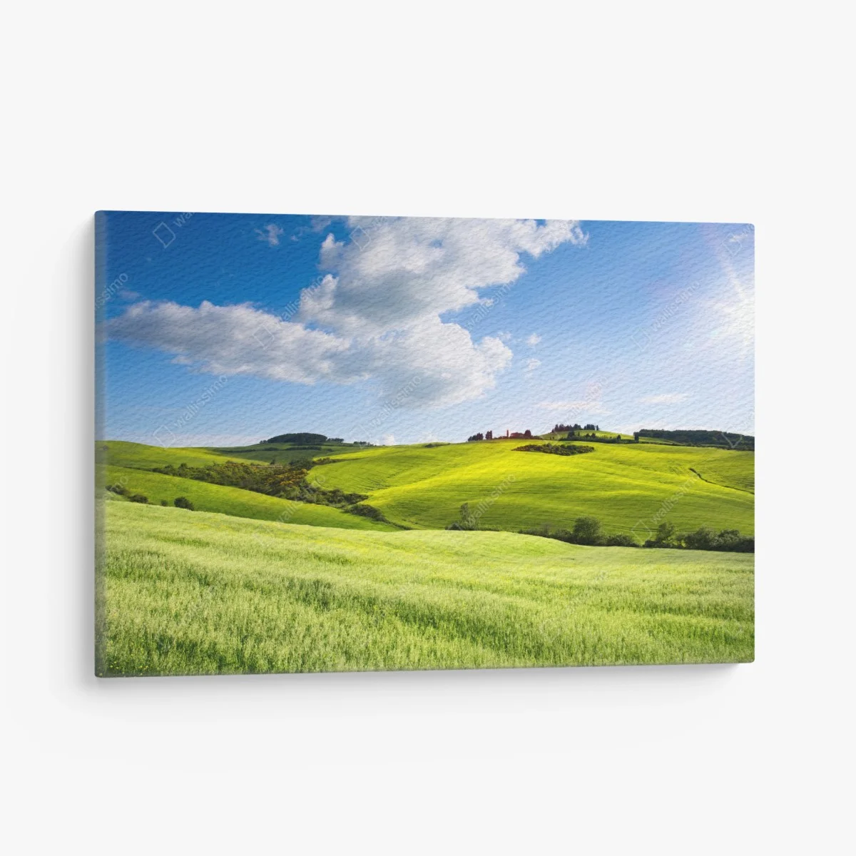 Cuadro en lienzo paisaje ondulado de la Toscana al atardecer – Pixers® Cuadro en lienzo paisaje ondulado de la Toscana al atardecer – Pixers®