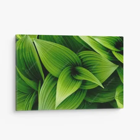 Cuadro en lienzo follaje verde en capas – Pixers®