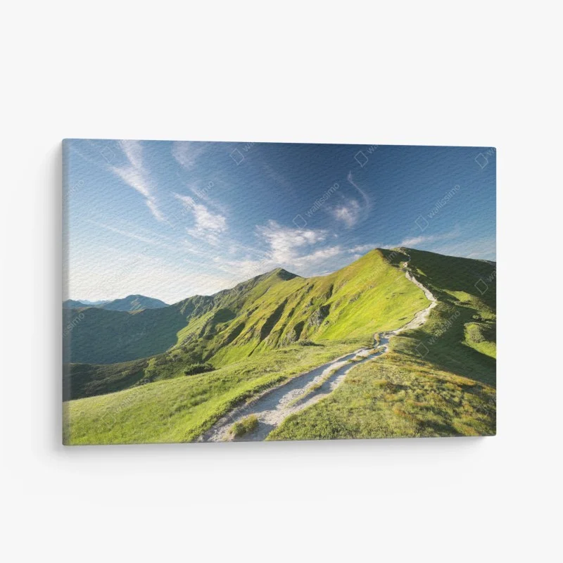 Cuadro en lienzo sendero hacia las cumbres verdes