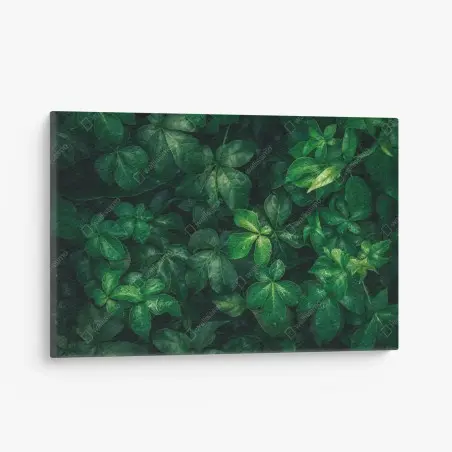 Cuadro en lienzo follaje verde profundo con gotas de lluvia – Pixers®