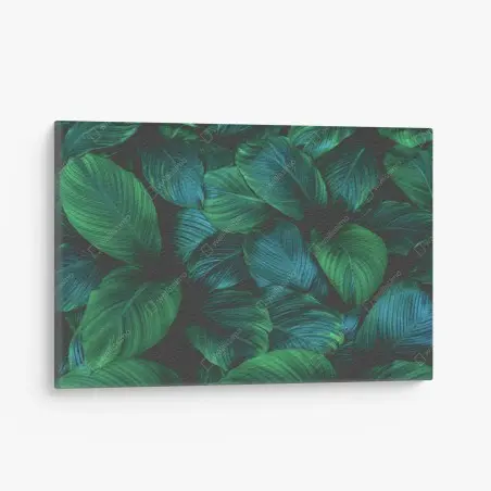 Cuadro en lienzo patrón de hojas tropicales en verde profundo – Pixers®
