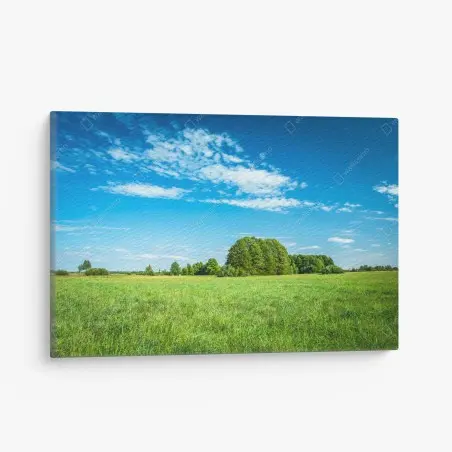 Cuadro en lienzo pradera bajo cielo azul – Pixers®