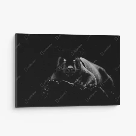 Cuadro en lienzo pantera negra en penumbra – Pixers®