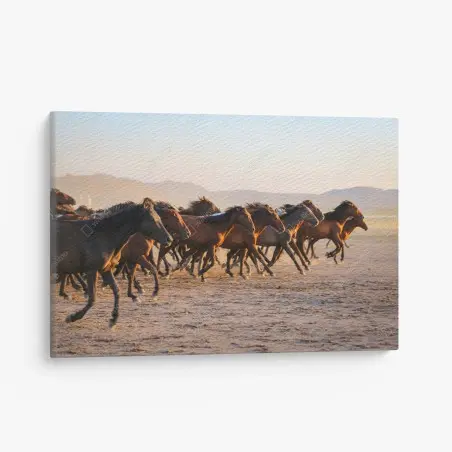 Cuadro en lienzo manada de caballos yilki en libertad, Kayseri – Pixers®