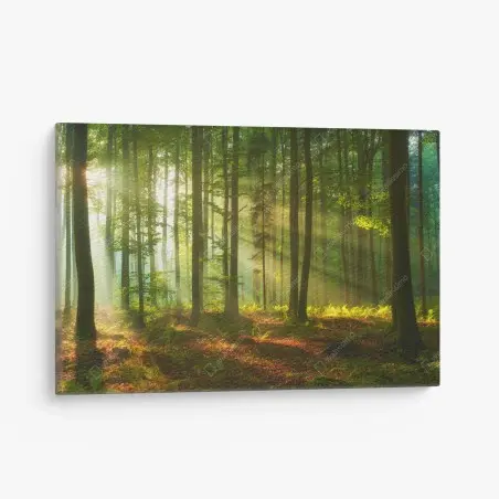 Cuadro en lienzo amanecer dorado en el bosque – Pixers®
