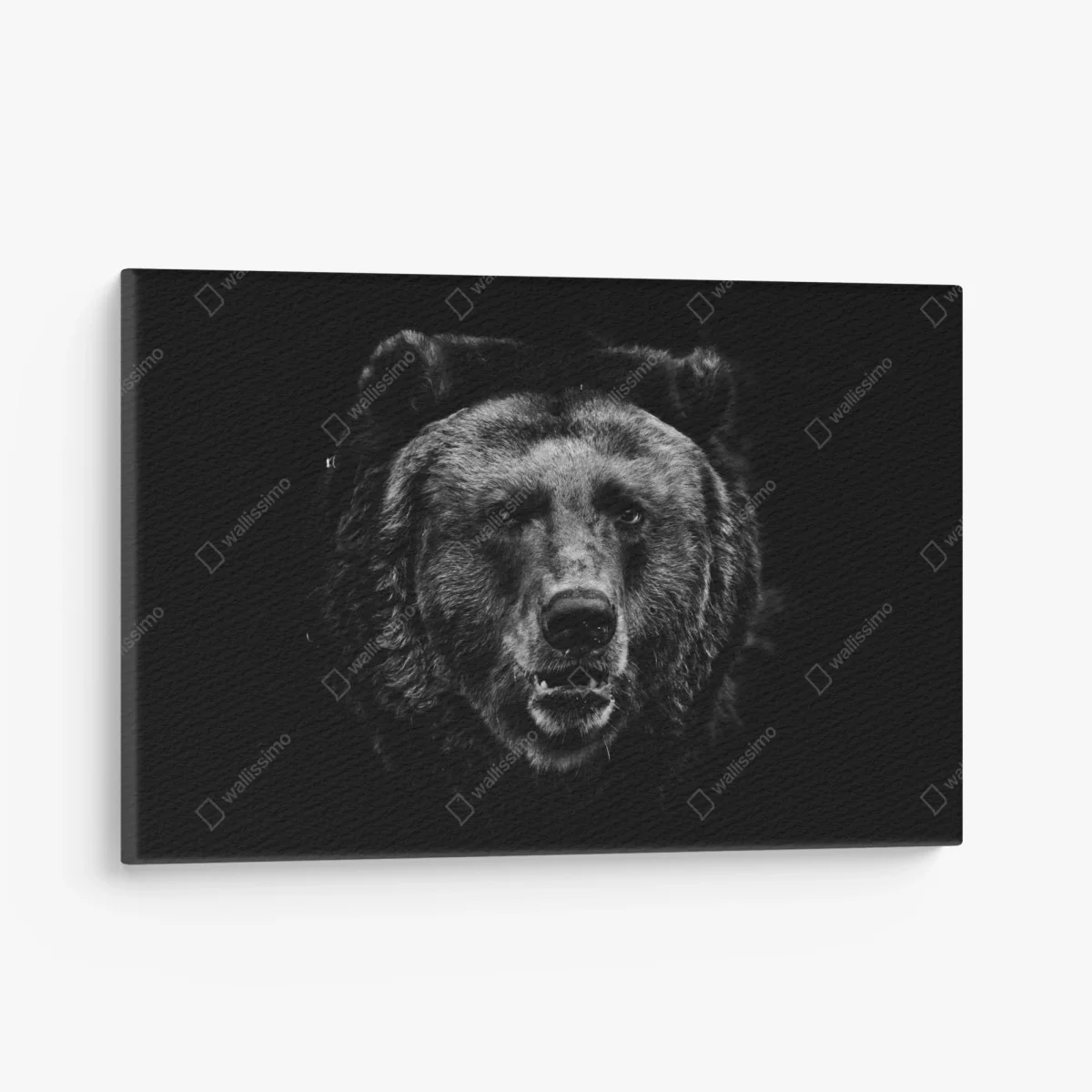 Cuadro en lienzo rostro de oso pardo en blanco y negro – Pixers® Cuadro en lienzo rostro de oso pardo en blanco y negro – Pixers®