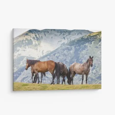 Cuadro en lienzo manada de caballos en pradera de montaña – Pixers®