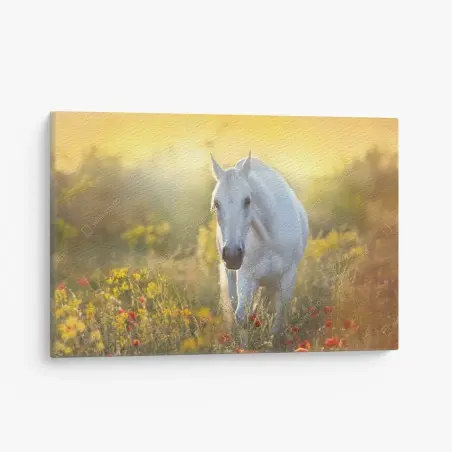 Cuadro en lienzo caballo blanco entre amapolas al amanecer – Pixers®