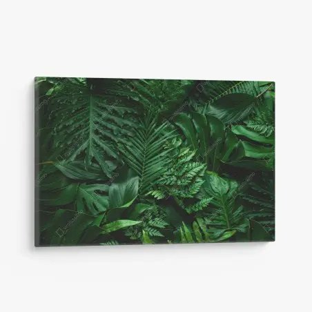 Cuadro en lienzo hojas tropicales en verde profundo – Pixers®