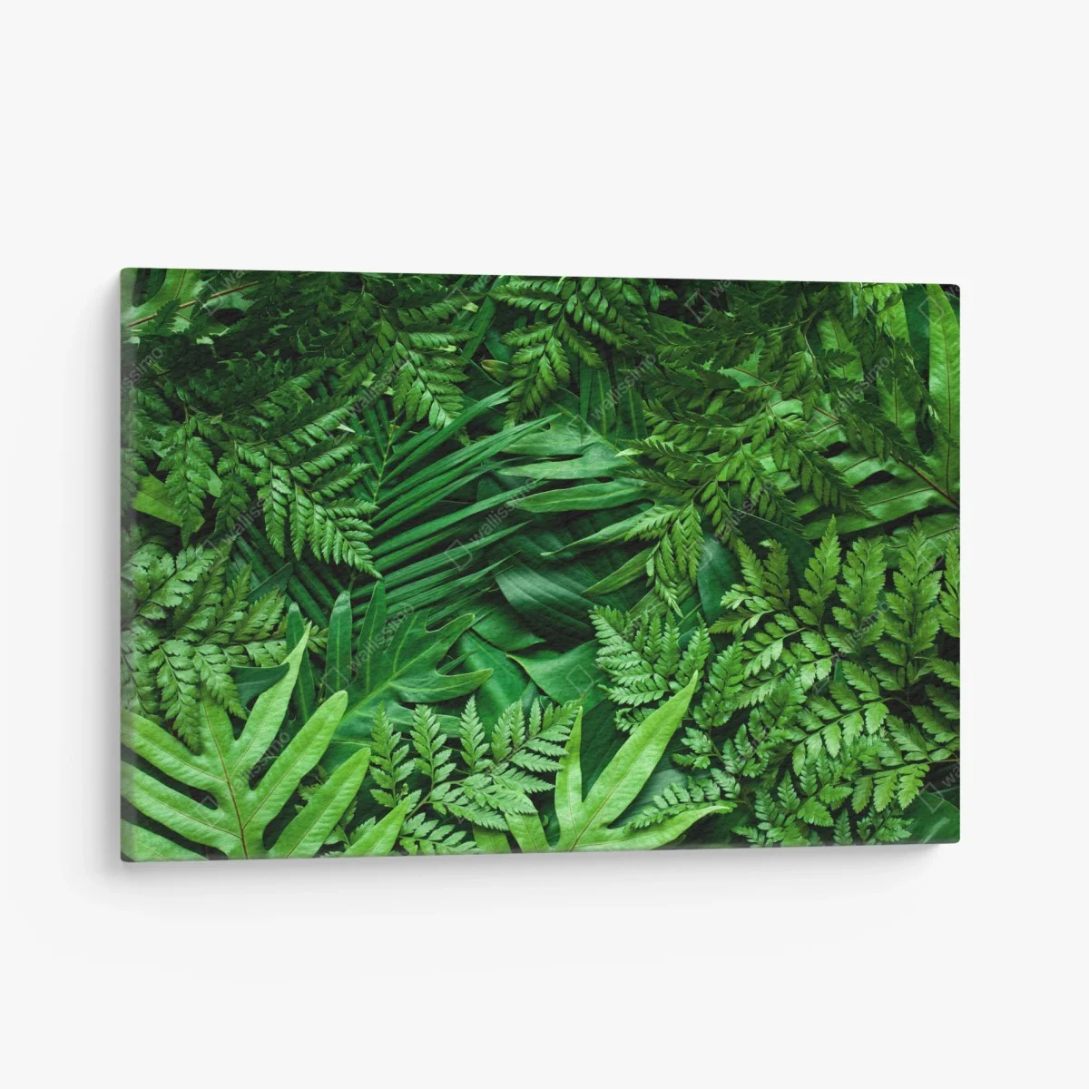 Cuadro en lienzo follaje tropical exuberante en tonos verdes – Pixers® Cuadro en lienzo follaje tropical exuberante en tonos verdes – Pixers®