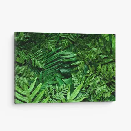 Cuadro en lienzo follaje tropical exuberante en tonos verdes – Pixers®