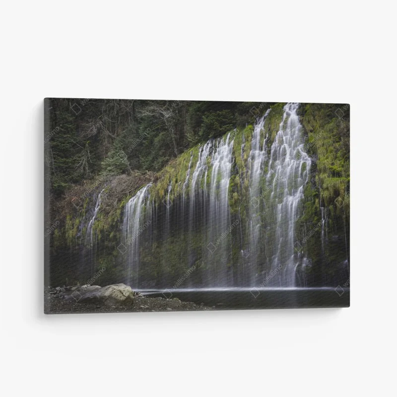Cuadro en lienzo cascada de cortina en bosque musgoso