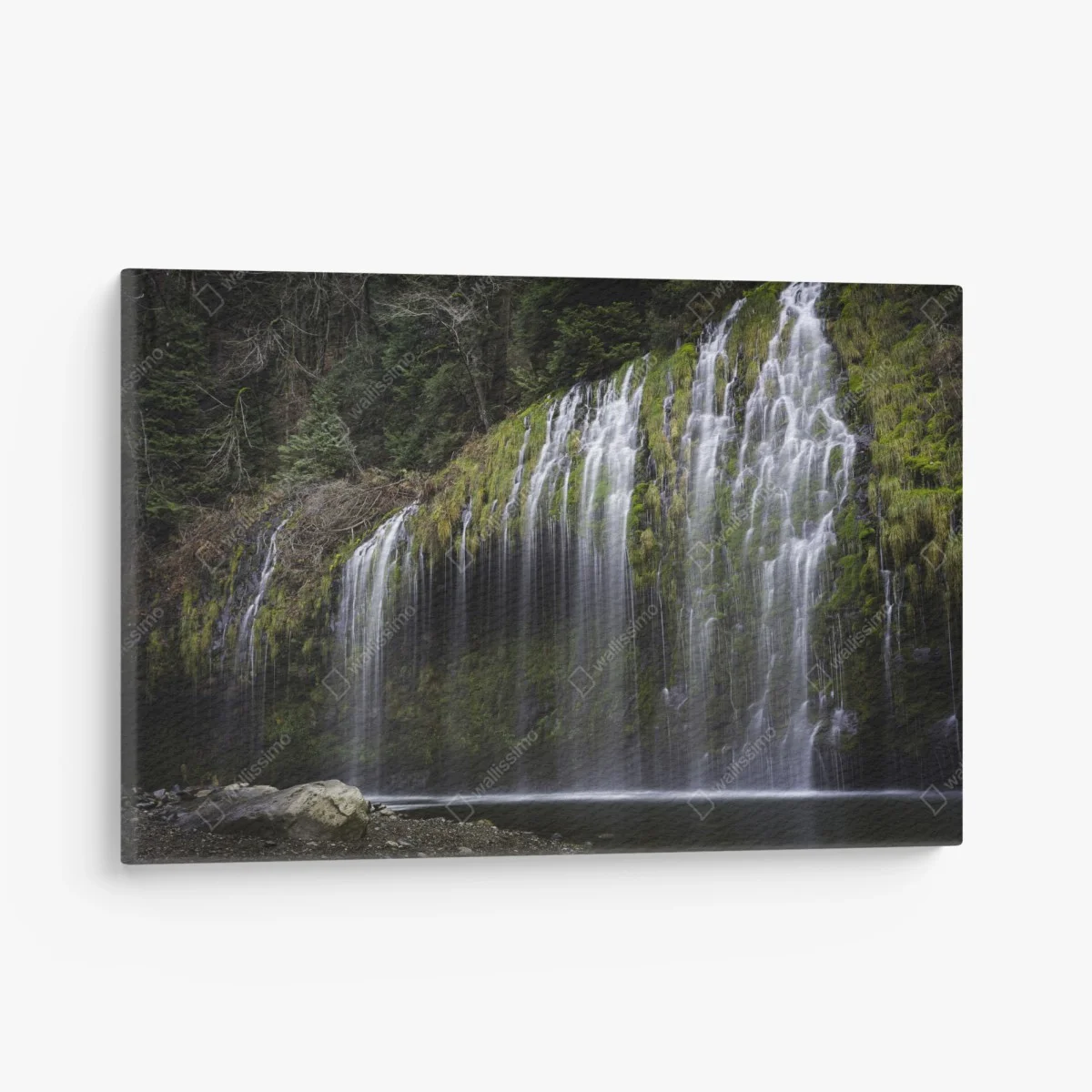 Cuadro en lienzo cascada de cortina en bosque musgoso – Pixers® Cuadro en lienzo cascada de cortina en bosque musgoso – Pixers®