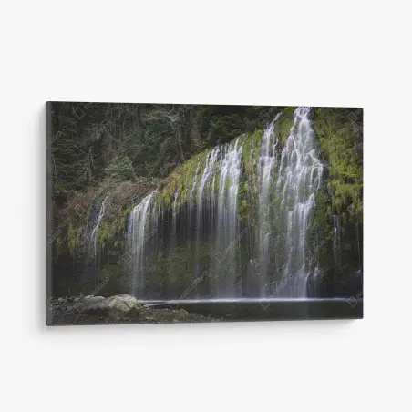 Cuadro en lienzo cascada de cortina en bosque musgoso – Pixers®