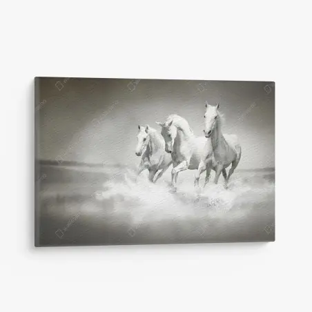 Cuadro en lienzo trío de caballos blancos galopando sobre el agua – Pixers®