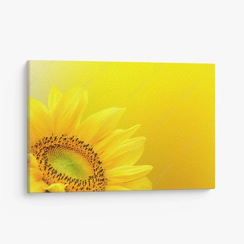 Cuadro en lienzo girasol vibrante sobre fondo amarillo