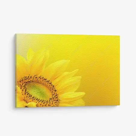 Cuadro en lienzo girasol vibrante sobre fondo amarillo – Pixers®
