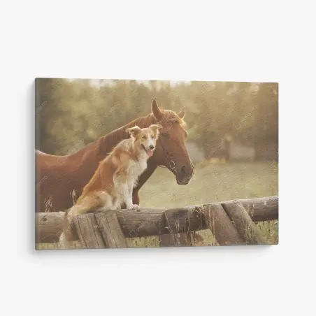 Cuadro en lienzo amistad campestre entre perro y caballo – Pixers®