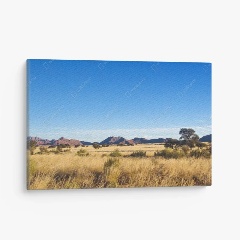 Cuadro en lienzo panorama de sabana dorada y montañas